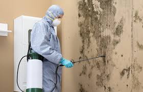 Best Asbestos and Lead Testing During Mold Inspection  in San Francisco, CA